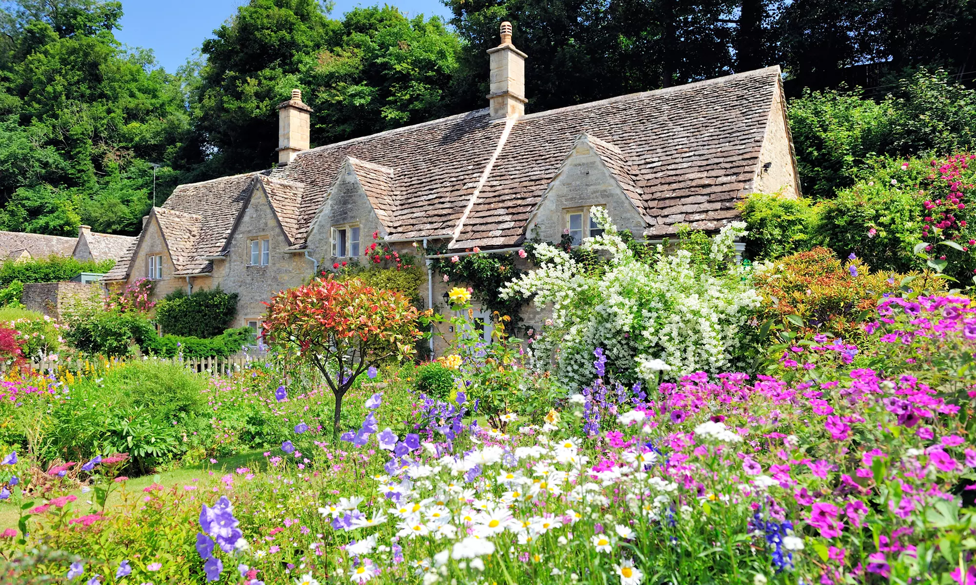 Explore Cotswolds: All Entries, Lunch & Premium Seating Tour for All