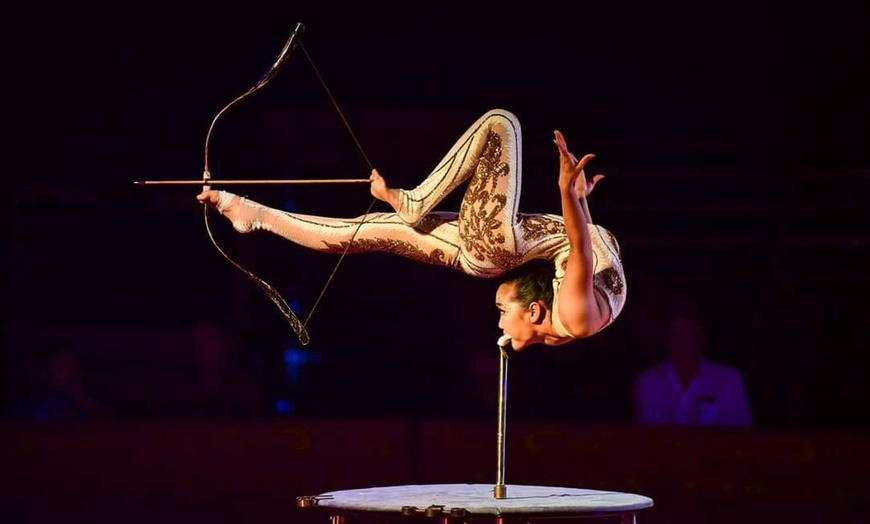 Image 12: Experience Thrills with Stunning Unicycles, & More at Santus Circus