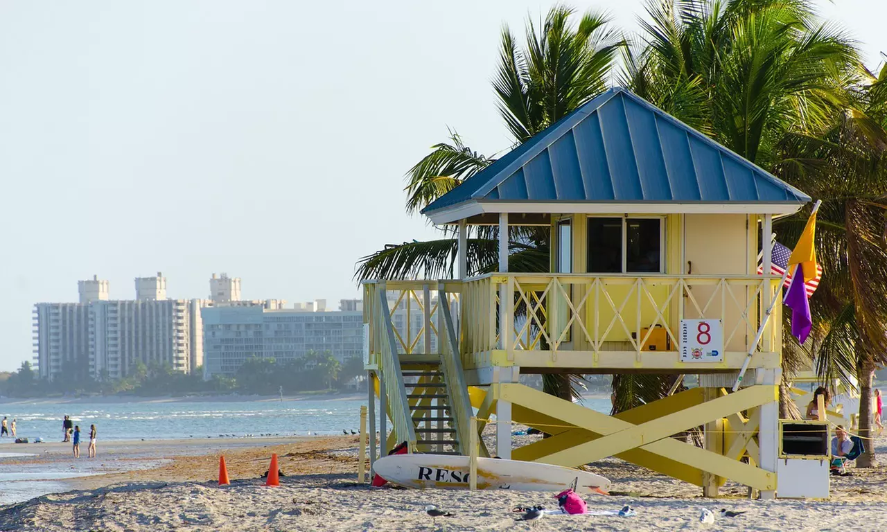 Self-guided tour for 2 hrs Wynwood / Miami Beach / Downtown Miami