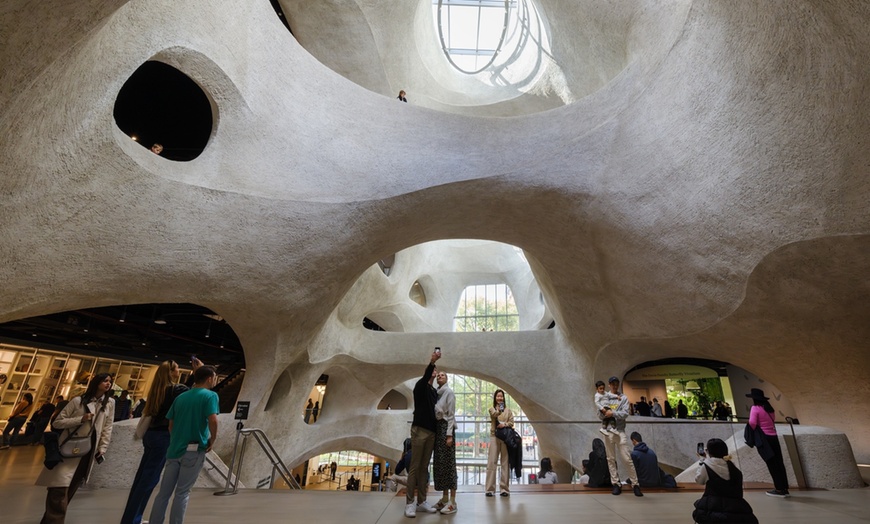 Image 5: American Museum of Natural History - Admission & Special Exhibitions