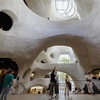 Image 5: American Museum of Natural History - Admission & Special Exhibitions