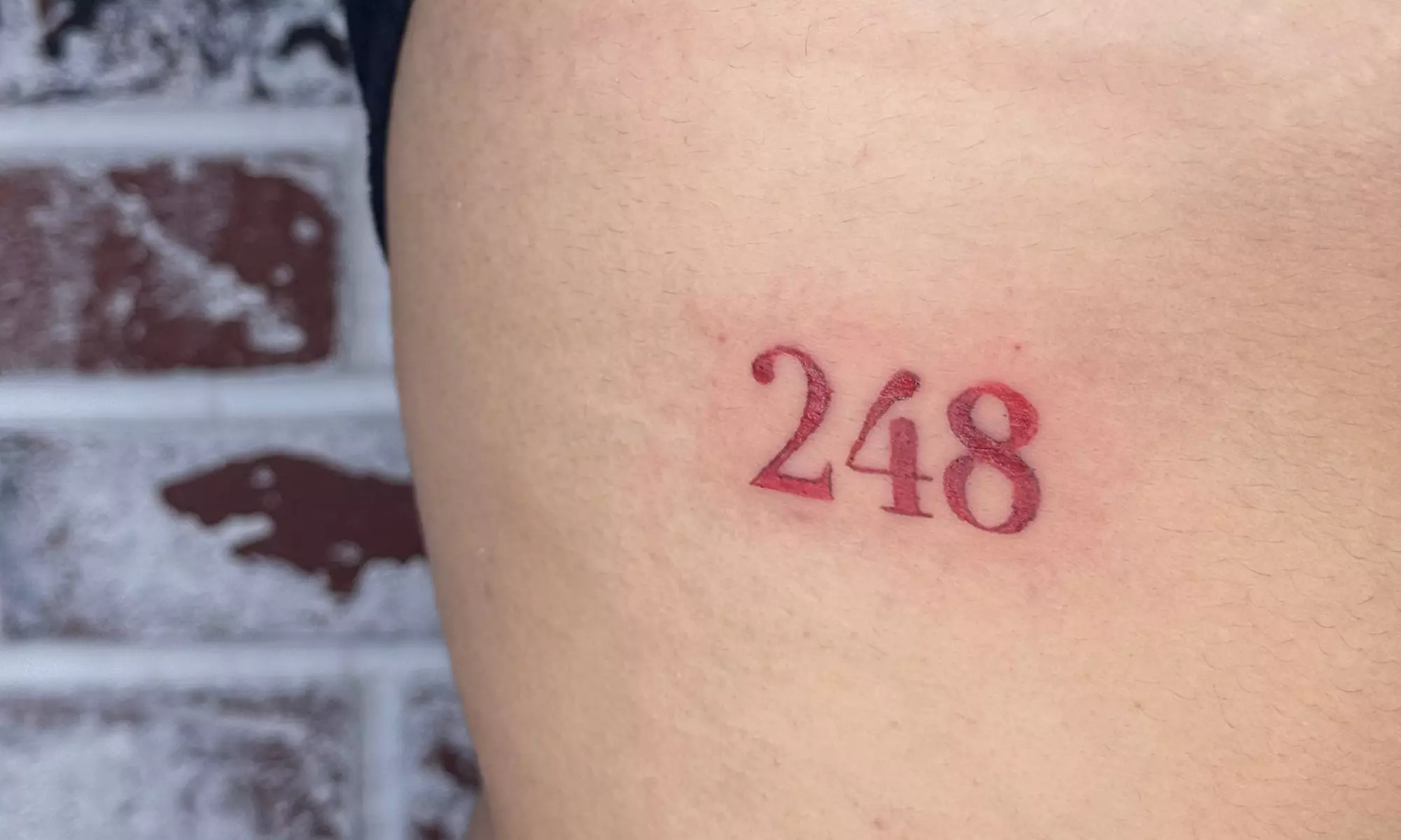 Small or Medium Tattoo with Consultation or Tattoo Sticker Sleeve 