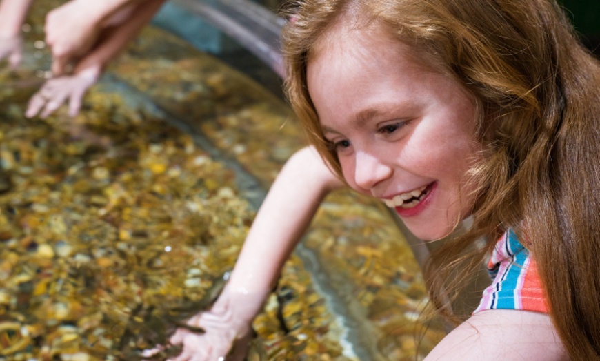 Image 6: Explore City Museum – St. Louis' Iconic Interactive Playground