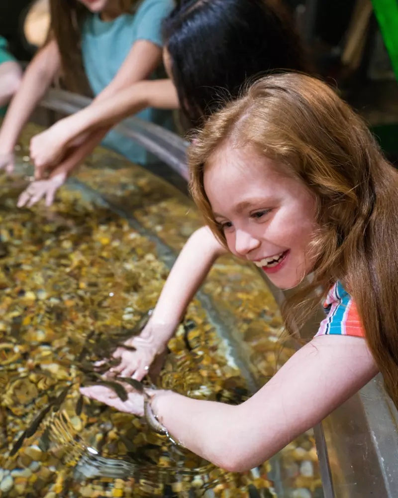 Explore City Museum – St. Louis' Iconic Interactive Playground