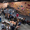 Image 2: Up to 38% Off Indoor Bouldering & Climbing Day Passes