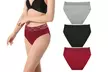 3 Pack Womens Cotton Bikini Panties Lace Soft Hipster Panty Underwear Set - Second Medium