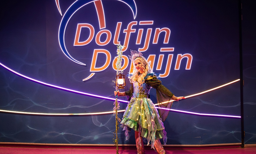 Image 8: Ontdek de dieren van de zee en neem zelf een duik in het Dolfinarium