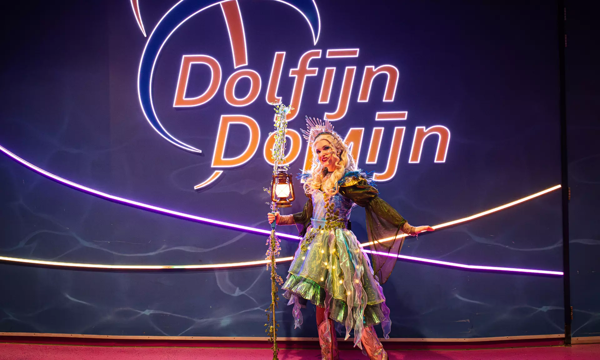 Einrittskarte "Dolfinarium" in Harderwijk, Niederlande für 1 Person