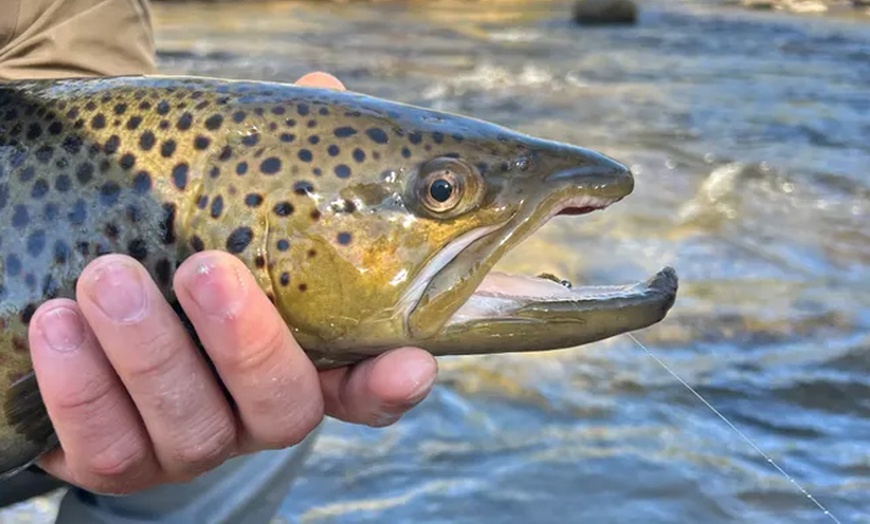 Image 5: Up to 28% Off on Fishing at Bloom Fly Fishing