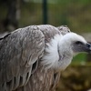 Image 16: Balade nature et biodiversité à deux pas de Paris