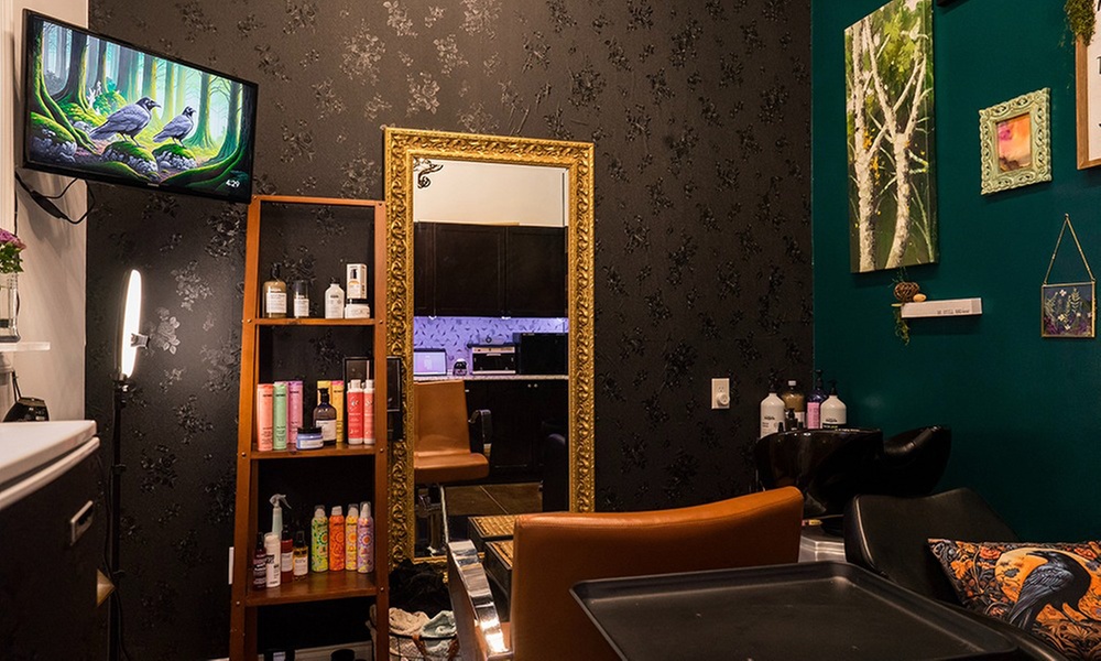 Haircut + Blowdry, Condition, Single Process Colour, Balayage & More