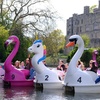 Image 2: Pedalo Hire for Up to Five People Weekdays - Valid Till Oct 3