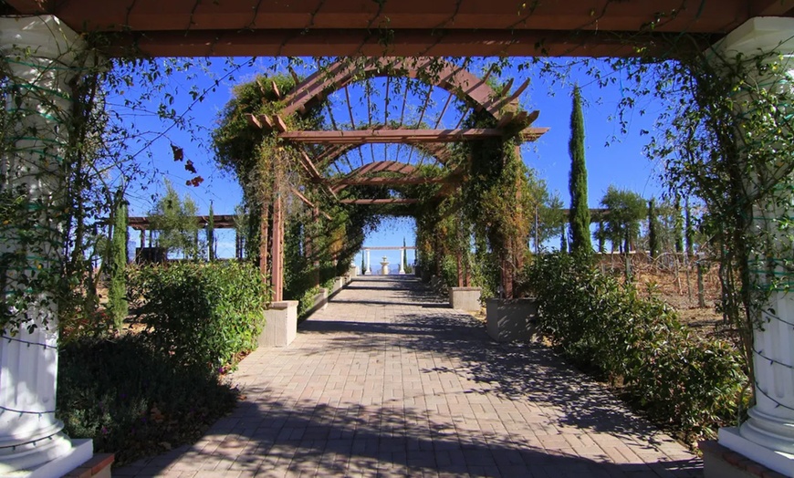 Image 6: Wine Cave Tasting Experience with Scenic Vineyard Views