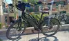 Kids or Adult Full Day 8-Hour E-Bike Rental w/ Optional Child Carrier at Ridden Breckenridge (Up to 20% Off)
