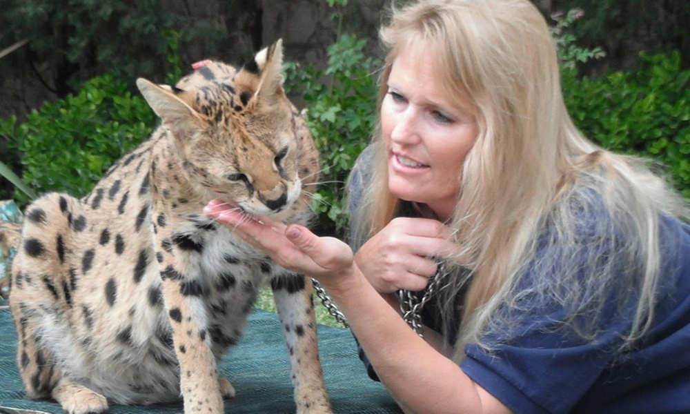Up to 25% Off Immersive Animal Encounters at Animal Tracks