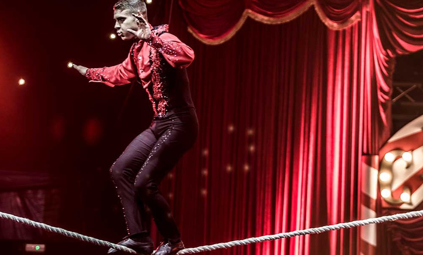 Image 4: Entrada oro o plata para niño o adulto al espectáculo "Viva el circo"