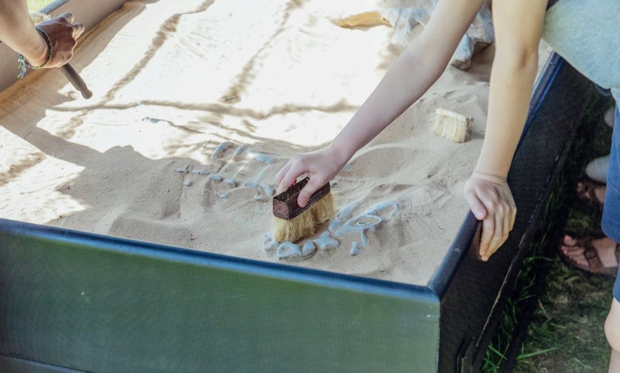 Image 17: Ticket to Dinosaurs In The Park for 2, 3 or 4 (17th May-8th June 2025)