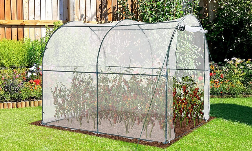 Image 4: Outsunny Walk-in Greenhouse; Apex or Round