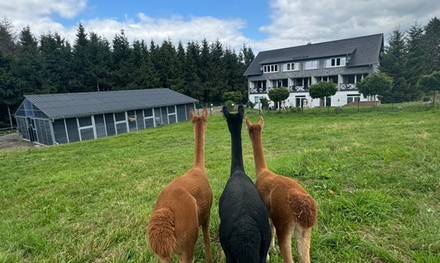 2 ÜN/F für 2 Personen im Doppelzimmer inkl. 1x Dinner, Wellness und Alpakas - Landhotel Flora und Fauna