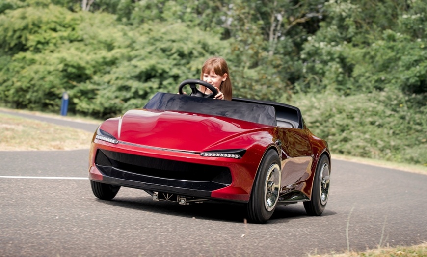 Image 1: 15-Minute Firefly Lesson