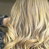 Image 1: Highlight, Tone & Style Packages with Cut and Blow-Dry
