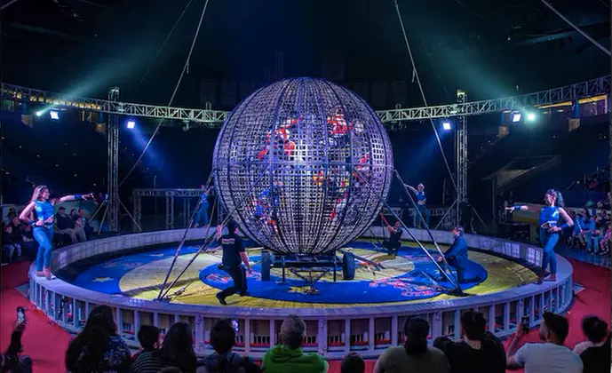 Garden Bros. Circus for Two Adults and Two Children on February 19 or 20 at 4:30 p.m. or 7:30 p.m.  - Second Medium