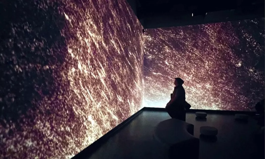 Admission to the Immersive Art Experience at WNDR Museum Boston