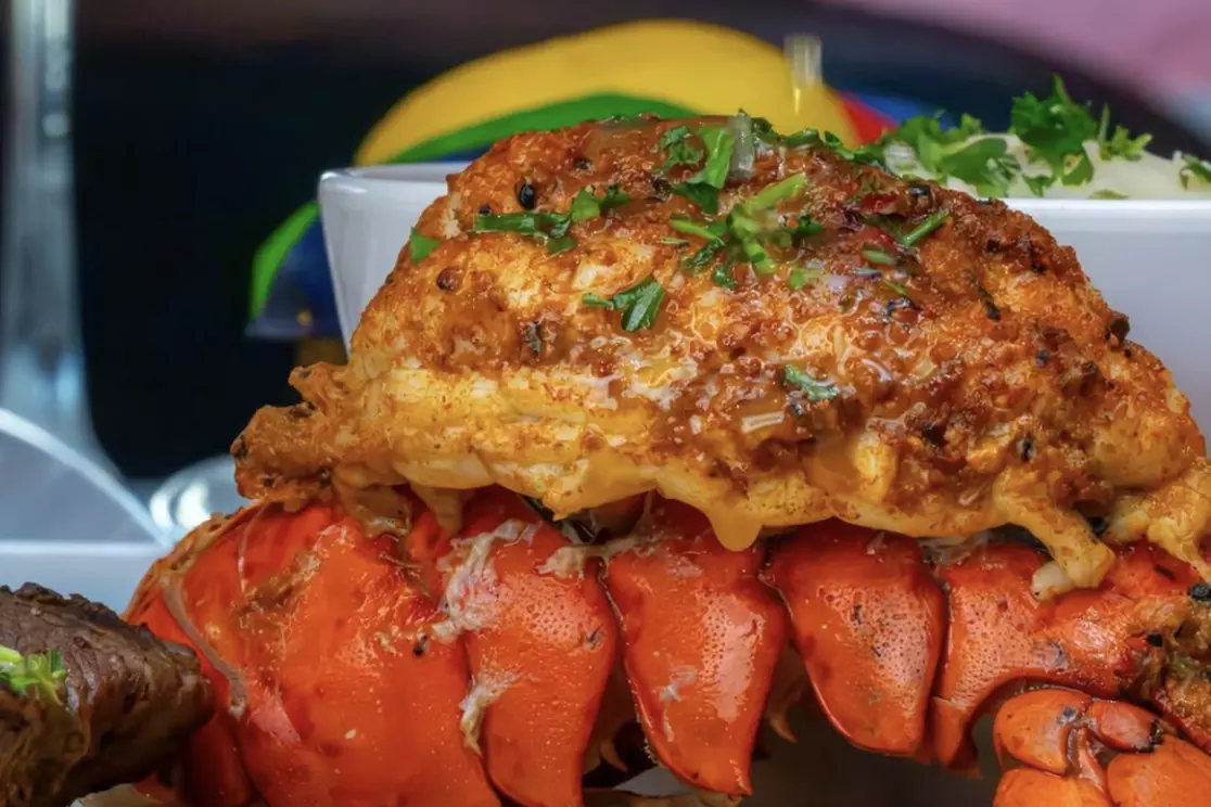 $50 or $100 to Spend at Sugar Factory (Up to 20% Off)