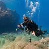 Image 2: Deluxe Scuba Diving or PADI Open Water Certification for 2 or 3 Days