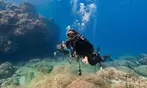 Deluxe Scuba Diving or PADI Open Water Certification for 2 or 3 Days