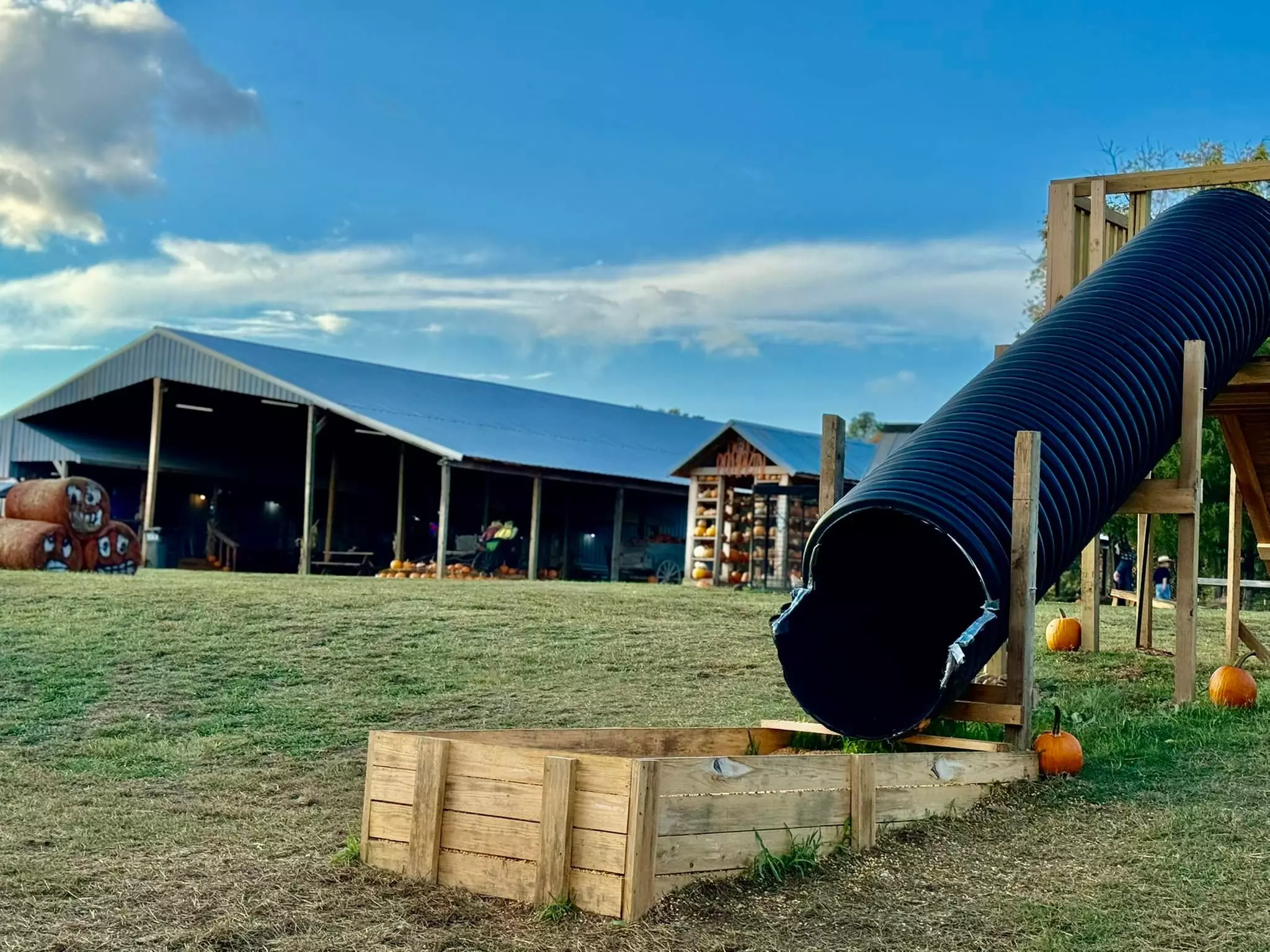 Admission For One, Two, or Four To Pumpkin Patch With Activities!