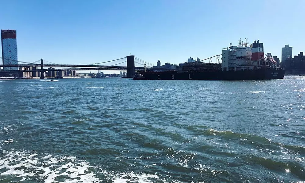 Nautical NY Sightseeing Cruise – New York Harbor Views