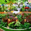 Image 2: Explore Dubai's Butterfly Garden with Pass for One, Two or Four Adults