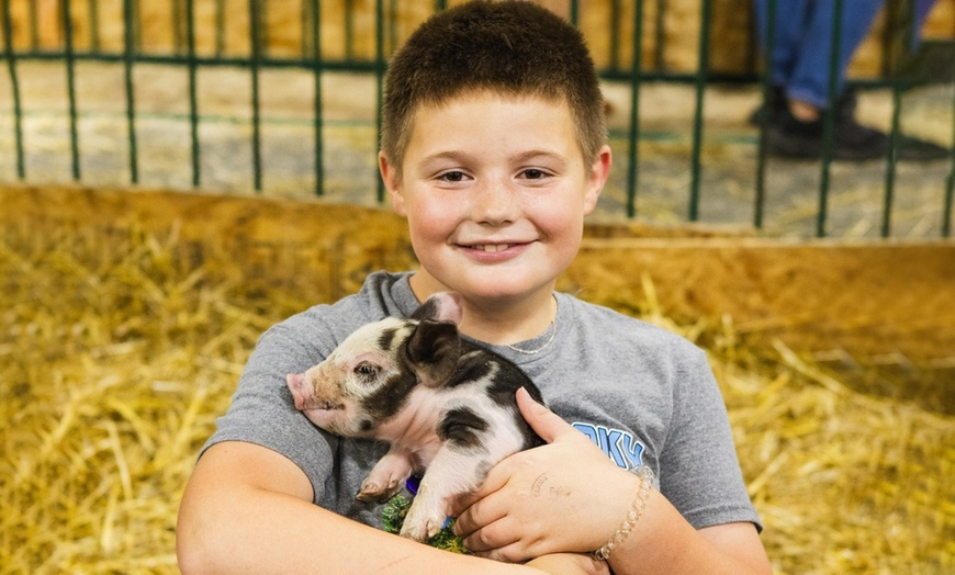 Image 9: Admission to Michigan State Fair with Unlimited Carnival Rides!