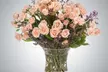 Enjoy 1 or 2Bouquet: Creamsicle or Rose Gold, Little Dreamer or You Light The Room at Kailua, 96 - Up to 38%Off - Second Medium
