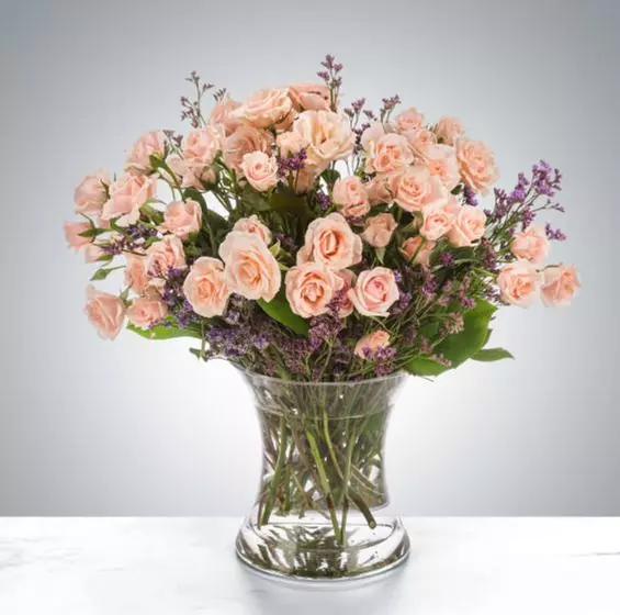 Bouquest: Creamsicle or Rose Gold, Little dreamer or You Light Room