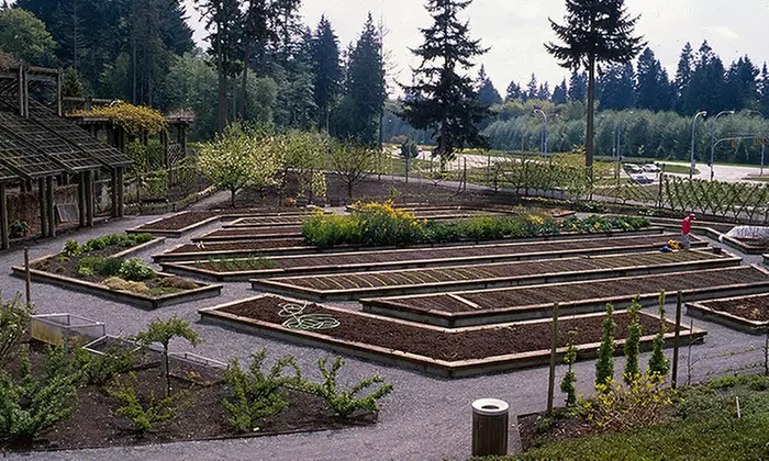 Membership or Visit for One Adult or Family to UBC Botanical Garden and Nitobe Memorial Garden (Up to 46% Off) - Second Medium