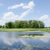 Image 3: Up to 30% Off on Golf at Maplewood Golf Course