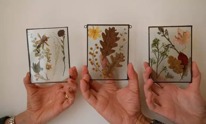 Experiencia de joyería, corte de botellas o botánica en cristal y vino