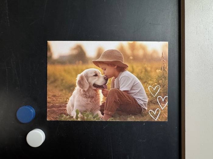 custom magnets by lovely little magnets