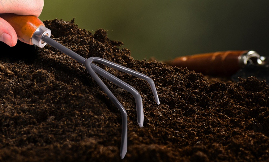 Image 2: Garden Hand Rake Wood Handle
