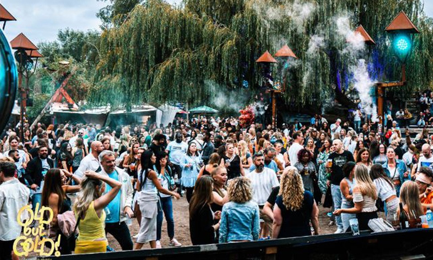 Image 11: Ticket für das "Old but Gold Festival" in München, Frankfurt & Hamburg