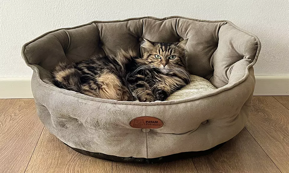 Cucce, lettini e divanetti per cani e gatti in vari modelli e misure