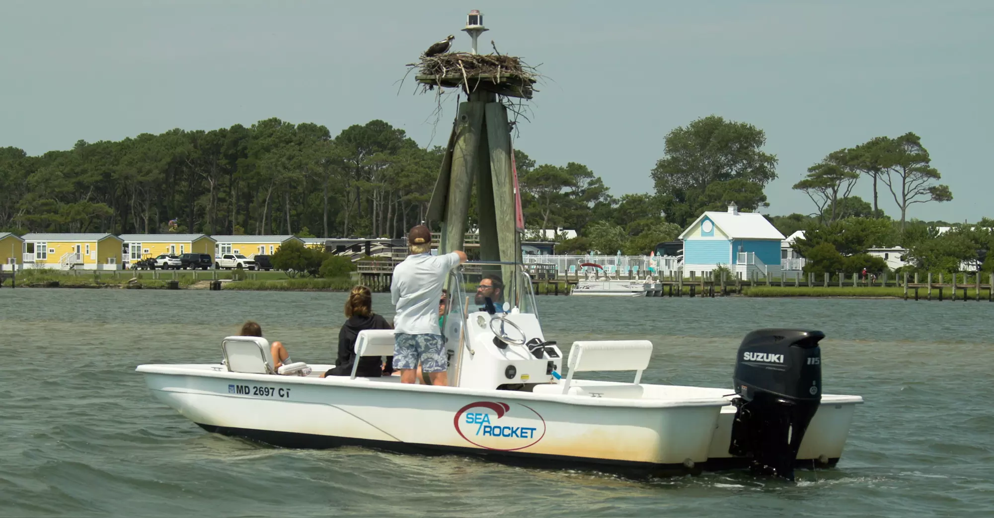 Private Sunset & Wildlife Cruises in Ocean City