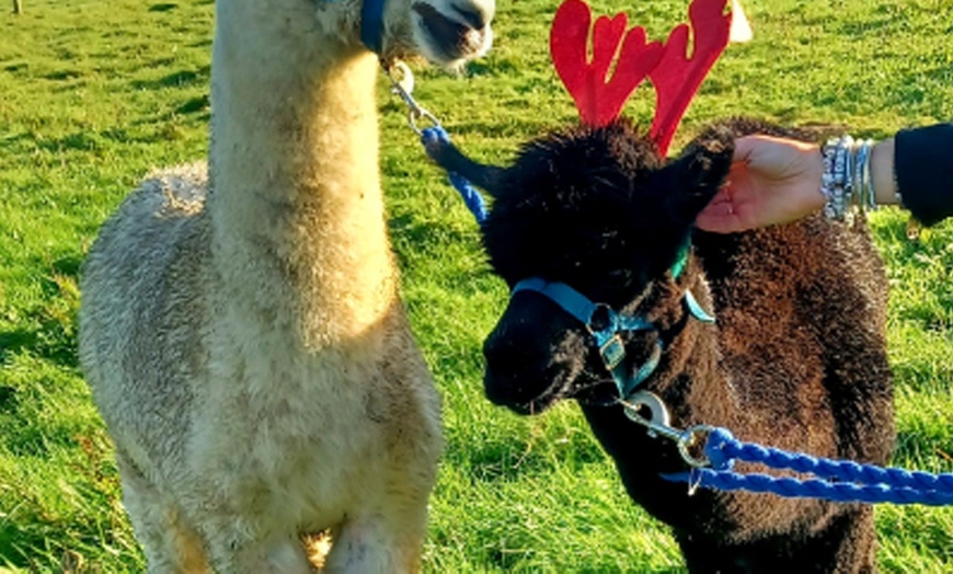 Image 1: Discover Fun with Forest/Farm School for Two or Four Children 