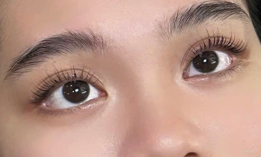Image 2: One Eyelash Lift Treatment and Optional Tinting 