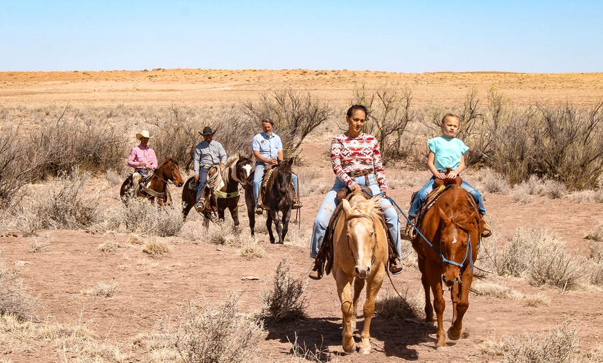 Image 1: Morning or Dinner Tour Package for a Child or 1 or 2 Adults