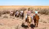 Morning or Dinner Tour Package with Lunch for a Child or One or Two Adults (Up to 35% Off)