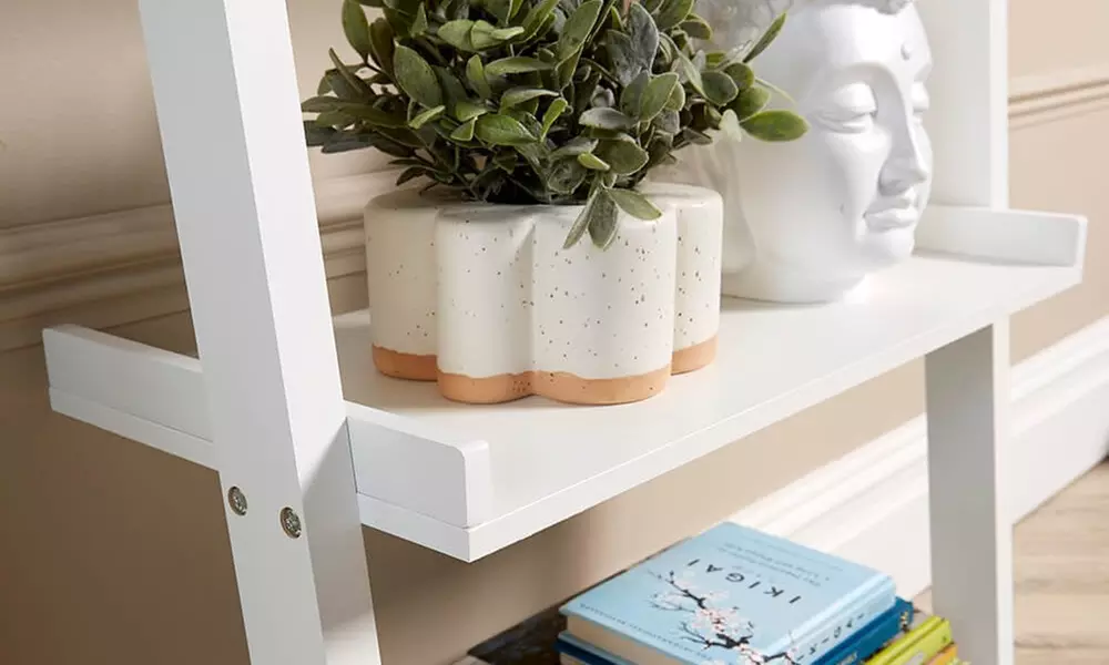 Three or Five Tier Storage Ladder Shelves