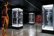 Admission to the Museum of Sex Miami with Super Funland Experience (Up to 39% Off) - Second Medium